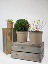 products/SotoProductShootLowQ-1980.jpg